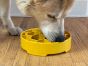 honey-bowl-feeding-tray-sodapup-dog-toy