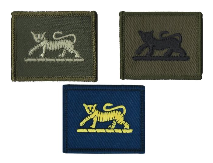 Princess of Wales Royal Regiment TRF (Sticky) Hook Backed Tactical Recognition Flash PWRR