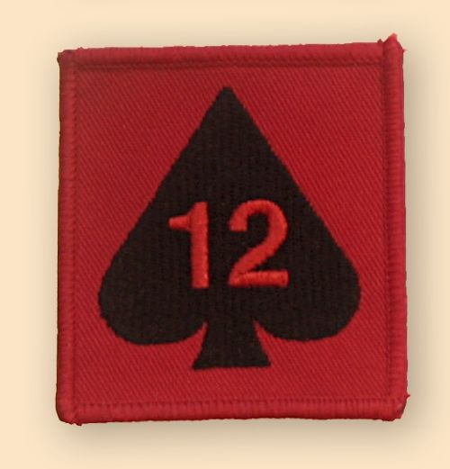 12 Mechanised Brigade TRF