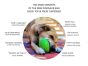 Mutts Kick Butt Dinosaur Egg Treat Dispenser & Chew Toy