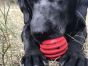 USA-K9 Stars And Stripes Dental Ball