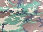 BROOKWOOD-Squadron-laminate-M81-Woodland-Only