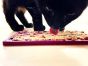 fishy-lickmat-with-cat-licking-it