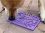 dog-using-lick-mat
