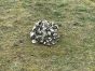 helmet-scrim-on-grass