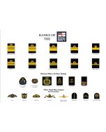 A3 Ranks of the Royal Navy Poster