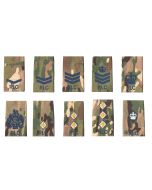 RLC Multicam / MTP Rank Slide Epaulette - Blue Thread (All Ranks)