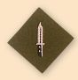 Class 1 Infantryman Trade Badge