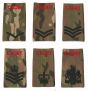 ACF / CCF Rank Slide RED CADET on MTP / Multicam - Black Thread (All Ranks)