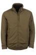 Arrowhead-olive