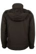 Arrowhead-Black-Back