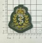 RAMC Commando Green Officers Wire Embroided Cap / Beret Badge