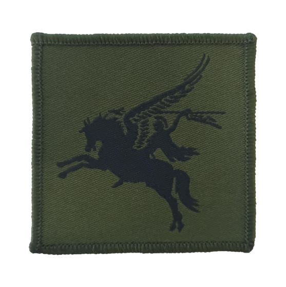 16-air-assault-pegasus-subdued-main