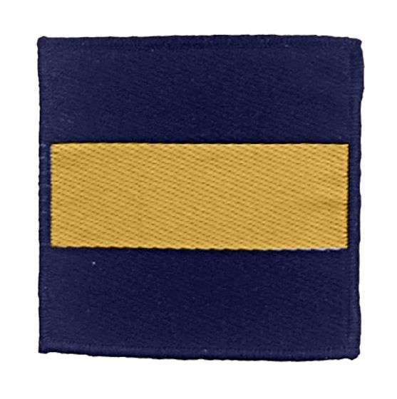 Princess of Wales Royal Regiment Tactical Recognition Flash TRF