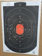 modestone-25m-target-demonstration