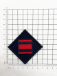 23 Parachute Engineer Regiment DZ Flash 