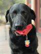 Sodapup-cherry-dog-toy