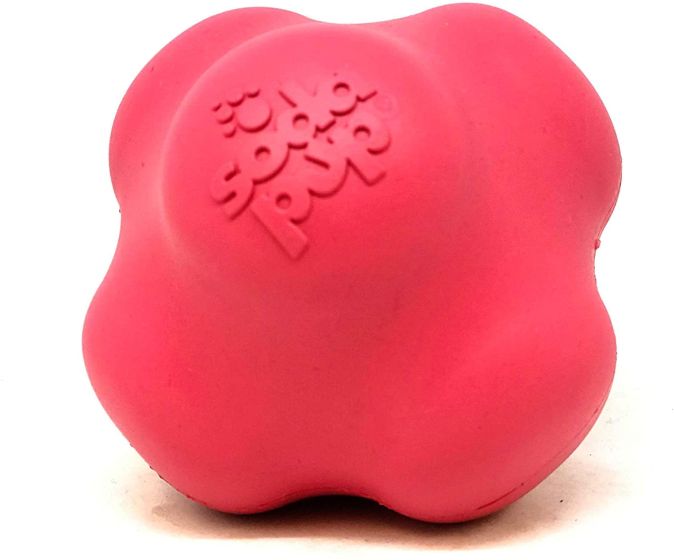 sodapup-crazy-bounce-dog-toy