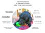 mutts-kick-butt-bull-frog-chey-toy