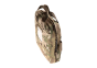 Clawgear-Multicam-Single-Pistol-Case-Sideways-View