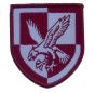 Cloth Colour Re-Enactors 16 Air Assault Brigade Patch 