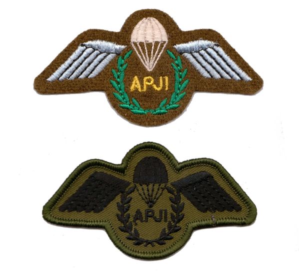 Army Parachute Jump Instructor APJI Wings