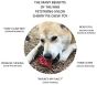 Sodapup-cherry-dog-toy