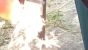 CL BRIGID Fire Starter