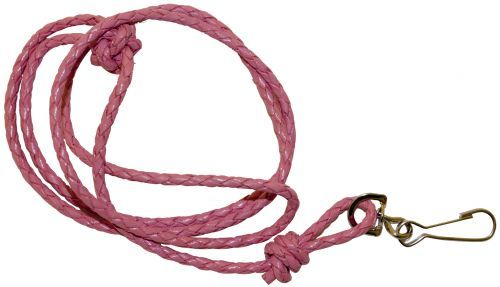 Pink Plaited Leather Lanyard by Bisley