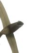 25mm / 1" TAN499 Tubular Webbing open