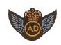 Air Despatch Wings Badge Qualification