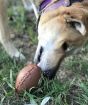MKB Football Dog Toy - Durable Chew Toy & Treat Dispenser - Large - Brown