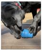 sodapup-ice-cream-cone-blue