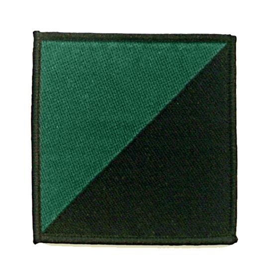 Royal Irish 16 Air Assault Attached DZ Flash