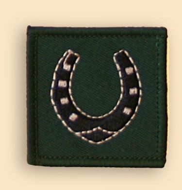 39 Brigade TRF