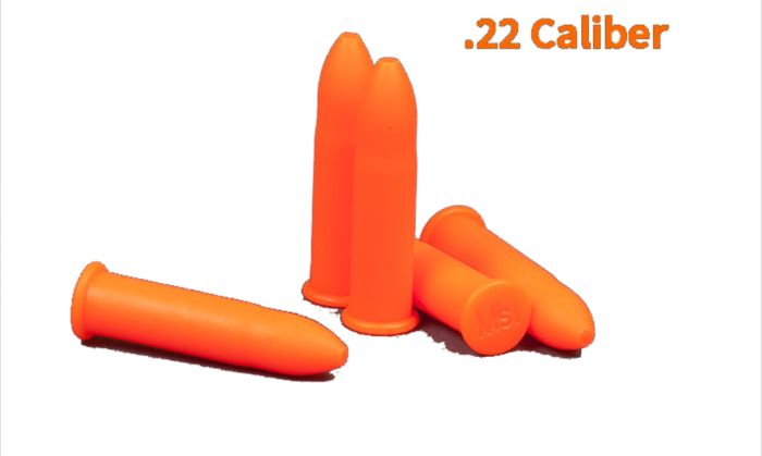 .22 Caliber Chamber Safe Dummy Rounds