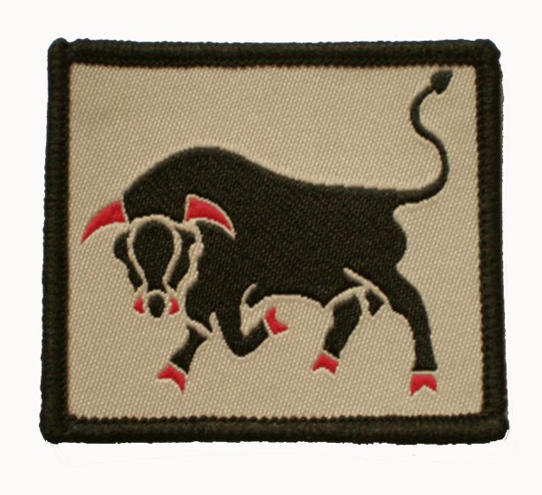 11th Infantry Brigade and Headquarters South East TRF