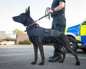 UKOM Maritime K9 Harness 