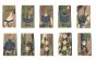 RLC Multicam / MTP Rank Slide Epaulette - Blue Thread (All Ranks)