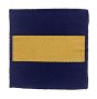 Princess of Wales Royal Regiment Tactical Recognition Flash TRF