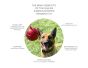 USA-K9 Stars And Stripes Ultra-Durable Reward Ball