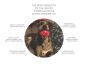 USA-K9 Stars And Stripes Dental Ball