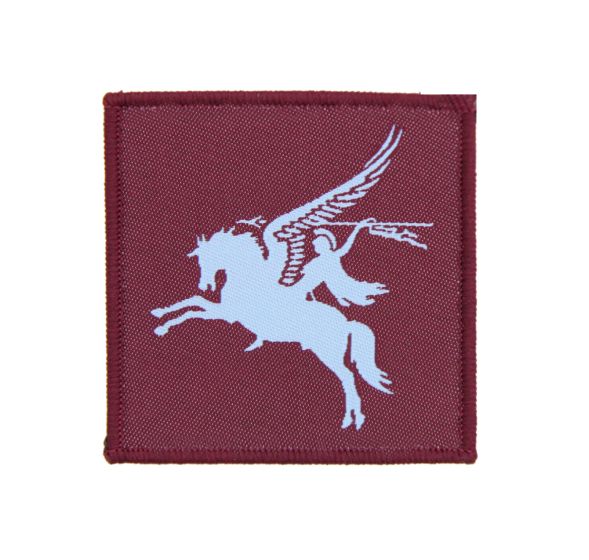 air-assault-pegasus