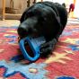 Sodapup Pull Tab Nylon Toy