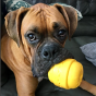 Mutts Kick Butt Bacon Double Cheeseburger Toy