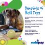 sodapup-squeak-ball-information-sheet-explaining-the-benefit-of-ball-toys
