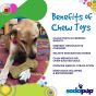 SodaPup Bone eChew Ultra Durable Nylon Dog Chew Toy
