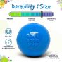 sodapup-squeak-ball-information-sheet-with-durability-and-size