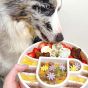 sodapup-java-white-enrichment-bowl-/-dog-bowl-perspective-view-of-a-dog-eating-from-the-slow-feeder-bowl,-eating-slowly