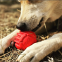 USA-K9 Stars And Stripes Dental Ball